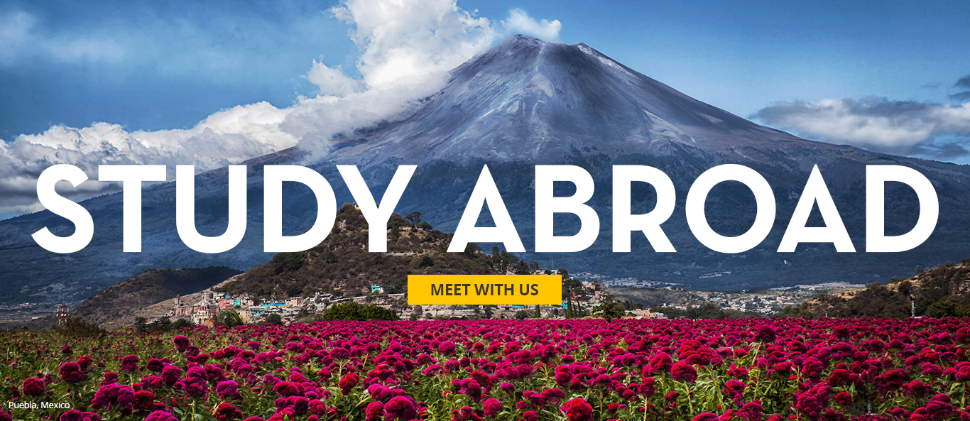 Study Abroad - Meet with us - Volcano in Puebla, Mexico, with hundreds of magenta colored flowers in the fore-ground.